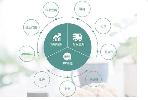 食品貨源追溯系統(tǒng)與防竄貨溯源 全國315產(chǎn)品防偽查詢中心的信息咨詢指南